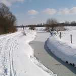 Winter 2007