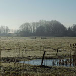 Wiedervernässungsprojekt der Hansestadt Lübeck im Krummesser Moor 