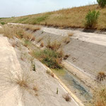 Torrente Locone