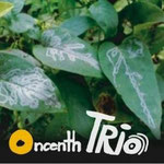 Oncenth Trio 1st "Oncenth Trio"2009