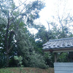 みなみ野菖蒲谷戸公園