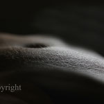 Bodyscape