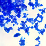 Lapis Lazuli Pigment/Lapis Absolue 