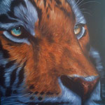 Tigre, óleo sobre tela, 100 X 70 cm.