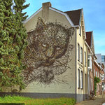 @daleast ↨  Location: Coriovallumstraat, Heerlen (NL) ↨ . Tags: Niederlande, Raubkatze, Tierwelt, Natur, Wildtiere. Code: Muralhecoxx - powered by: www.scheelen-allianz.de