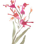 Aquarellübung "Abstrakte Blüten 3": rot gelbe Blüten