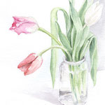 Aquarellbild "Drei Tulpen in der Vase": eine weiße und zwei rote Tulpen in einer Glasvase