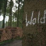 Teutoburg Forest, Copyright © 2011