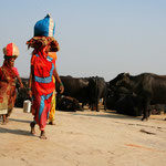 Varanasi / Uttar Pradesh, Copyright © 2010