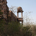 Ranthambore Tiger Reserve / Rajasthan, Copyright © 2009