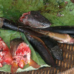 Fresh butchered catfish, Phnom Penh / Cambodia, Copyright © 2011