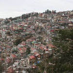 Shimla / Himachal Pradesh, Copyright © 2009