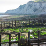 Eastbourne, Copyright © 2012