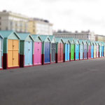 Brighton, Copyright © 2012