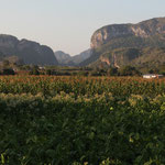 Valle de Viñales, Copyright © 2014