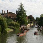 Cambridge, Copyright © 2012