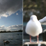 Sunday Sessions at Serpentine Lake, London / England, Copyright © 2012