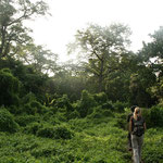 Jungle / Chitwan-Nationalpark, Copyright © 2008