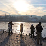 A sunday river scene at Vltava river in Praha, Copyright © 2013