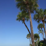 Fort Myers Beach / Florida, Copyright © 2007