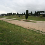 Ruins of Circus Maximus, Copyright © 2012