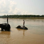 Elephant wash / Chitwan-Nationalpark, Copyright © 2008