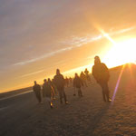 traversée baie de somme+guide nature baie de somme