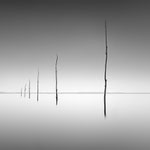 Eddy Wellens - M - Seascape - B