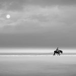 Eddy Wellens - M - Garnaalvisser - A
