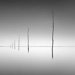 Eddy Wellens - Dig.M - Seascape - A