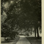 images of campus - winding path to Old Main