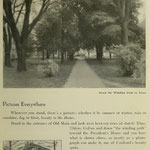 images of campus - winding path to town and executive mansion