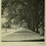 images of campus - elm hedge