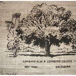 Knox County towel
