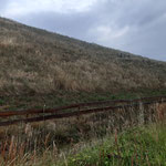 Foto: 16.07.2025, J. Baade