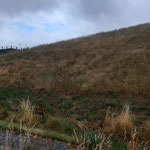 Foto: 16.07.2025, J. Baade