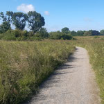 Foto: J. Baade 11.06.2024