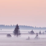 Nebelstimmung im Großen Venn (© RS 2014)