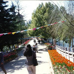 kunming - the green lake