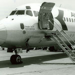 Bugsektion der ersten MD-81 von Austrian/Courtesy: Austrian Airlines