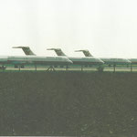 Vier MD-83 nach der Flugbetriebseinstellung/Sammlung: Wolfgang Steckhan