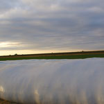 Silo de maïs: y'a encore du boulot