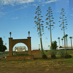 Maddox Farm