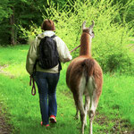 Eins mit der Natur, dem Lama und sich selbst sein - was gibt es Schöneres?