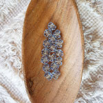Blatt hellblau
