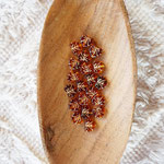 Blatt braun