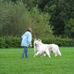 Linde speelt met de honden