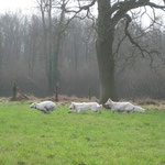 De jacht op Kaly is geopend!