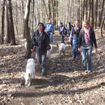In groep door het bos