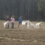 Eerste kennismaking in het veld